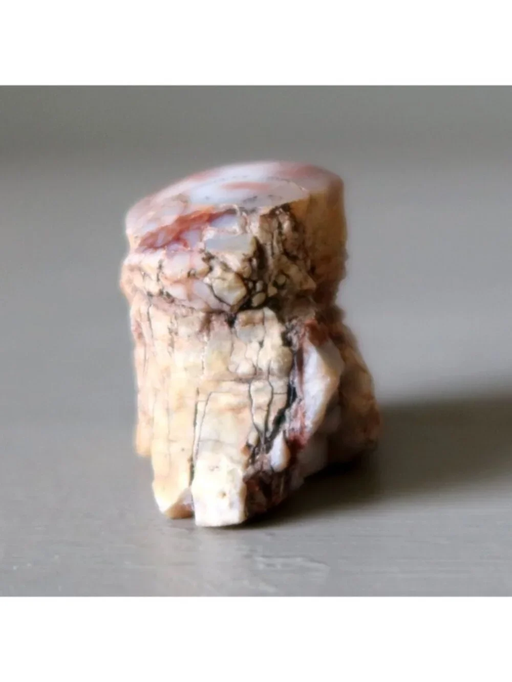 Agatized Petrified Wood Stone Specimen Pink Agate Jasper Rough Mineral